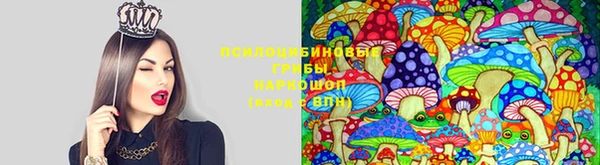 первитин Ладушкин
