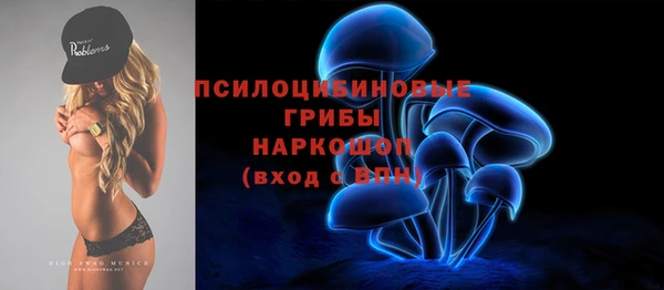первитин Ладушкин