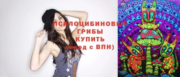 первитин Ладушкин