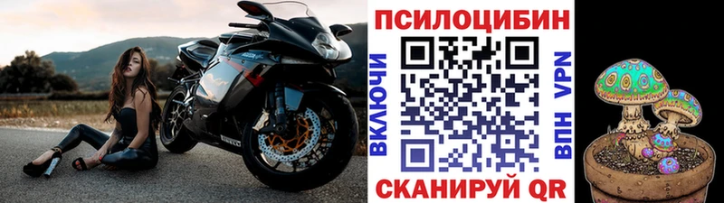 Галлюциногенные грибы прущие грибы Тутаев