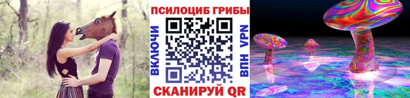 shop телеграм  Тутаев  Псилоцибиновые грибы Cubensis 