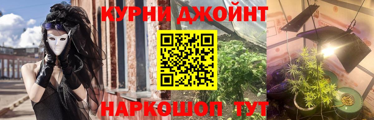 Канабис план Тутаев